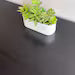 Kasse Credenza / Media Console - 75" - Walnut - Ebony